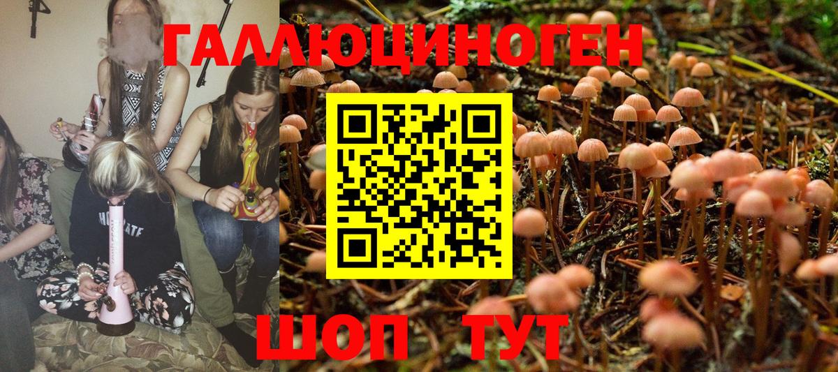 Псилоцибиновые грибы MAGIC MUSHROOMS Ирбит